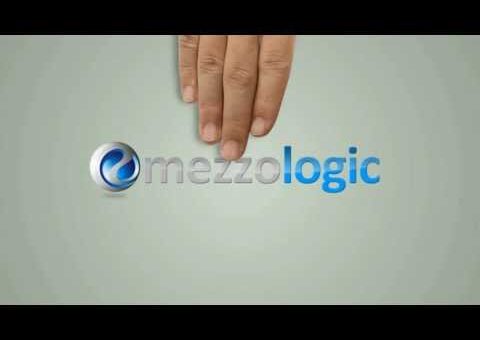 SEO Los Angeles –  MezzoLogic Explains Why Search Engine Optimization is Important