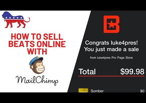 How To Sell Beats WHILE YOU SLEEP With Email Marketing | Mailchimp Tutorial For Selling Beats Online