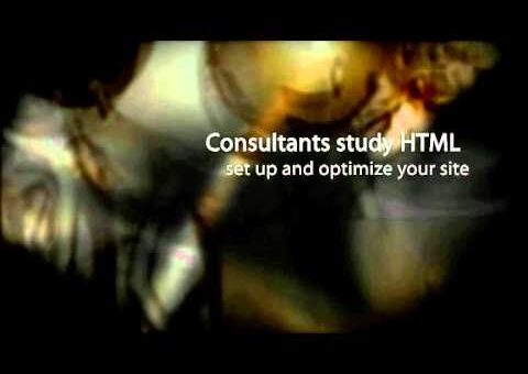 Search Engine Consulting | Local Business Search|Search Engine Optimization