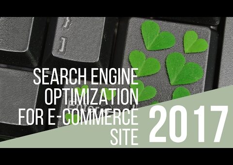 Search Engine Optimization for E-Commerce Site (module 8)