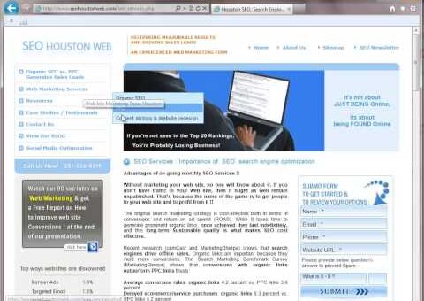 SEO Houston . B2B Marketing Texas .Search Engine Optimization .Organic SEO Houston .