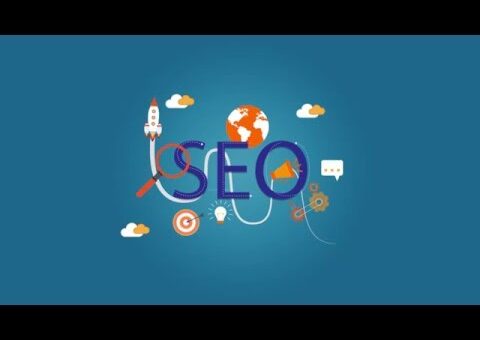 Search Engine Optimization Agencies – SEO Infographics – SEO Tips and Tricks – What is SEO