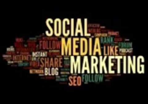 Search Engine Optimization Strategies