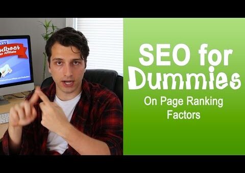 Organic Search Engine Optimization for Dummies (On Page Ranking Factors)