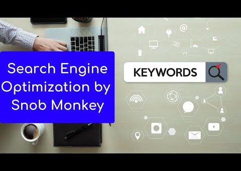 How Snob Monkey Carry Out SEO (Search Engine Optimization)
