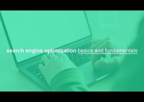 SEO basics, search engine optimization basics and fundamentals