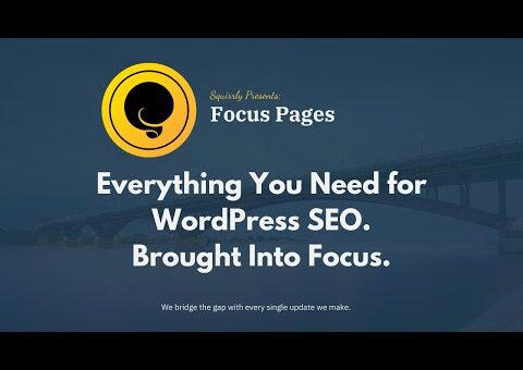 Focus Pages How to do Search Engine Optimization On WordPress