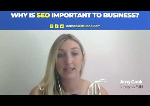 Why is SEO important to business? (Search Engine Optimization)