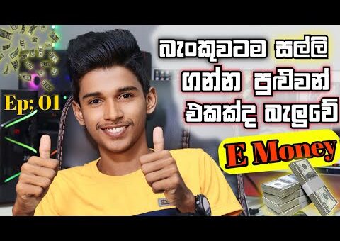 How to Earn E-money in Sinhala.Aliexpress Affiliate Marketing.How to Success in Affiliate marketing