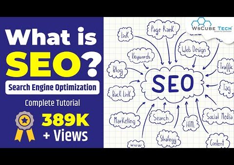 What is SEO (Search Engine Optimization) & How it’s Work? | Types of SEO & SEO Techniques