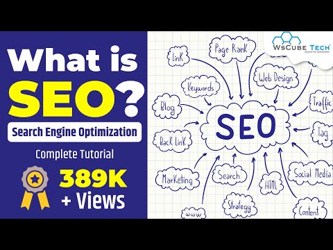 What is SEO (Search Engine Optimization) & How it’s Work? | Types of SEO & SEO Techniques