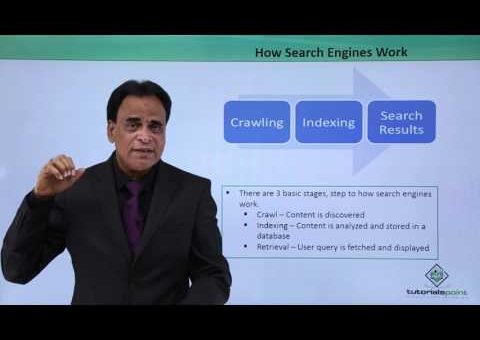 SEO – How Search Engines Work